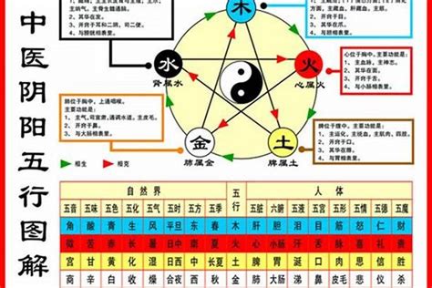 五行命|如何查自己五行什么命 快速查自己的五行属性